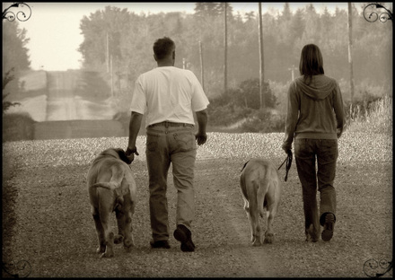 Tailcreek Mastiffs, walking the dogs